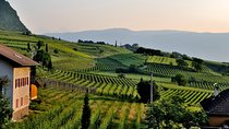 Tuscany Wine Tour from Rome with Private Driver