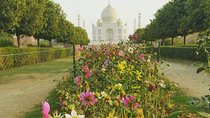 Private same day trip to Taj Mahal and Agra From Jaipur