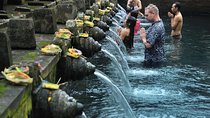 Bali Holy Bathing Ritual and Ubud Highlights tour
