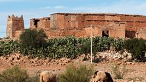 Offshore Amazigh Fortified Granaries