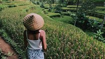 Highlights of Ubud: Nature, Rice Terrace, Waterfall, Temple and more