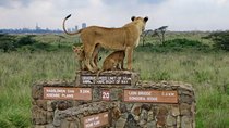 Nairobi National Park Half Day Tour
