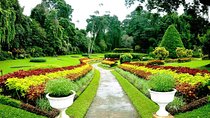 4 Day Tour to Kandy Nuwara Eliya Ella & Udawalawe Safari From Negombo