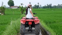 Bali Atv Quad Bike Tour - Private & All-inclusive
