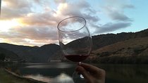 Full-Day Porto and Douro Valley Private Wine Tour with Lunch