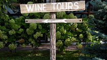 Fraser Valley Social Wine Tasting Private Tour