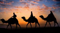 Sunset Camel Ride in the Palm Grove of Marrakech