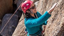 Rock Climbing Trips in Joshua Tree National Park (4 Hours)
