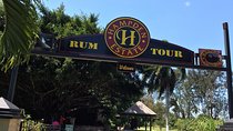 Hampden Estate Rum Tour and Lunch from Montego Bay