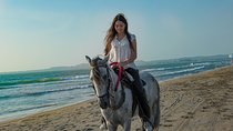 Horseback Riding Tour in Beach of Cartagena