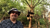 Chengdu Panda Base Half Day Tour