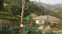 Permaculture Organic Farm Tour in Patlekhet from Kathmandu Nepal