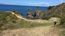 Stunning Auckland East Coast Walk & Wine Private Tour