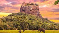  Kandy to Sigiriya Day Tour and Dambulla cave temple with private vehicle 