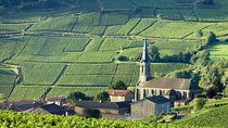 BURGUNDY : Unique Wine Tour from PARIS (Day-trip by TGV - High-speed train)