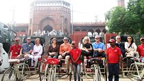 Old Delhi Group Tour by Rickshaws