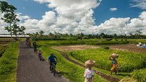 Ubud Village Cycling with 2 Hours Balinese Spa