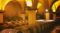 Exclusive Private Tuscany Wine Tour & Food Pairing Session