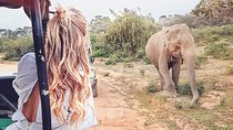 Wild Safari Udawalawe from Mount Lavinia