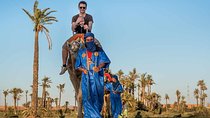 Marrakech Quad Biking and Camel Riding Tour