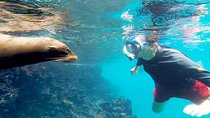 Full Day Santa Fe Playa escondida snorkeling tour