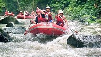 Bali Ayung River Rafting, Rice terraces and Ubud Monkey Forest Tour