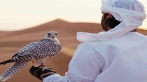 Arabian Desert Experience In Dubai 
