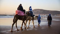 Sunset Camel Ride In The Beautiful Beach of Agadir