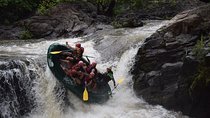 Adventure Rafting Class III and IV in Tenorio River from Playa Tamarindo