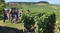 From Paris full day private tour to the Champagne region 