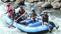 Yogyakarta Elo Jungle River Rafting Private Tour