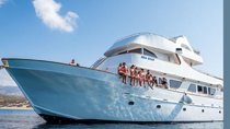 Sea Star Full Day Blue Lagoon Cruise from Paphos