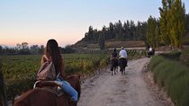 Horseback Private Wine Tour and Country Grill from Santiago