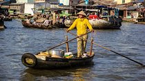 Mekong Delta Private Tour from Hiep Phuoc Port, Ho Chi Minh City