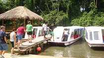 Sarapiqui River Expedition & Rainforest from San Jose. Private Tour