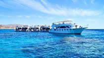 Diving with Boat trip to Ras Mohammed &white island Snorkeling, Sharm El Sheikh 