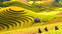 2 Days 1 night Sapa Tour from Hanoi by Limousine/Sleeper bus