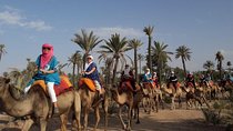 Experience Quad Bikes Camel Ride