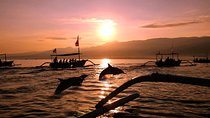 Dolphin Tour and Sunrise Watching in Lovina Beach - All Inclusive