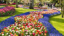 Day Trip to Keukenhof Gardens from Amsterdam with Tour Guide