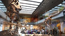 Natural History Museum of Los Angeles County Admission