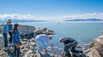 Great Salt Lake Guided Bus Tour from Salt Lake City
