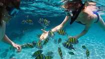Puerto Plata Snorkeling Tour