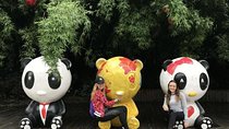 Morning Trip of Giant Panda Base in Chengdu