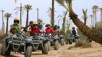 Quad bike and camel ride in the palm grove