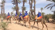Marrakech Camel Ride Experience with Pick-up