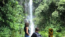 Road to Hana: Full-Day Scenic Drive with Blacksand & Waterfalls