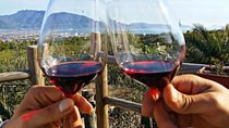 Pompeii & Wine Tasting - Full Day Tour