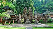 Ubud Best Tour 