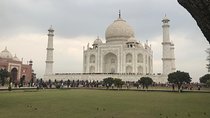 From Delhi: Taj Mahal and Agra Fort Private Day Tour By Car